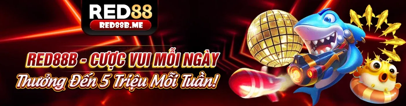 Hình ảnh giới thiệu cách chọn nền tảng cá cược ok9 uy tín