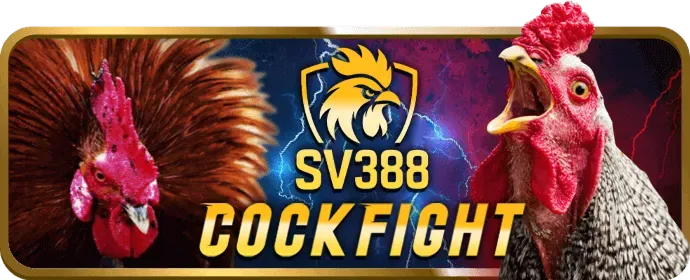 Hỗ trợ khách hàng OK9